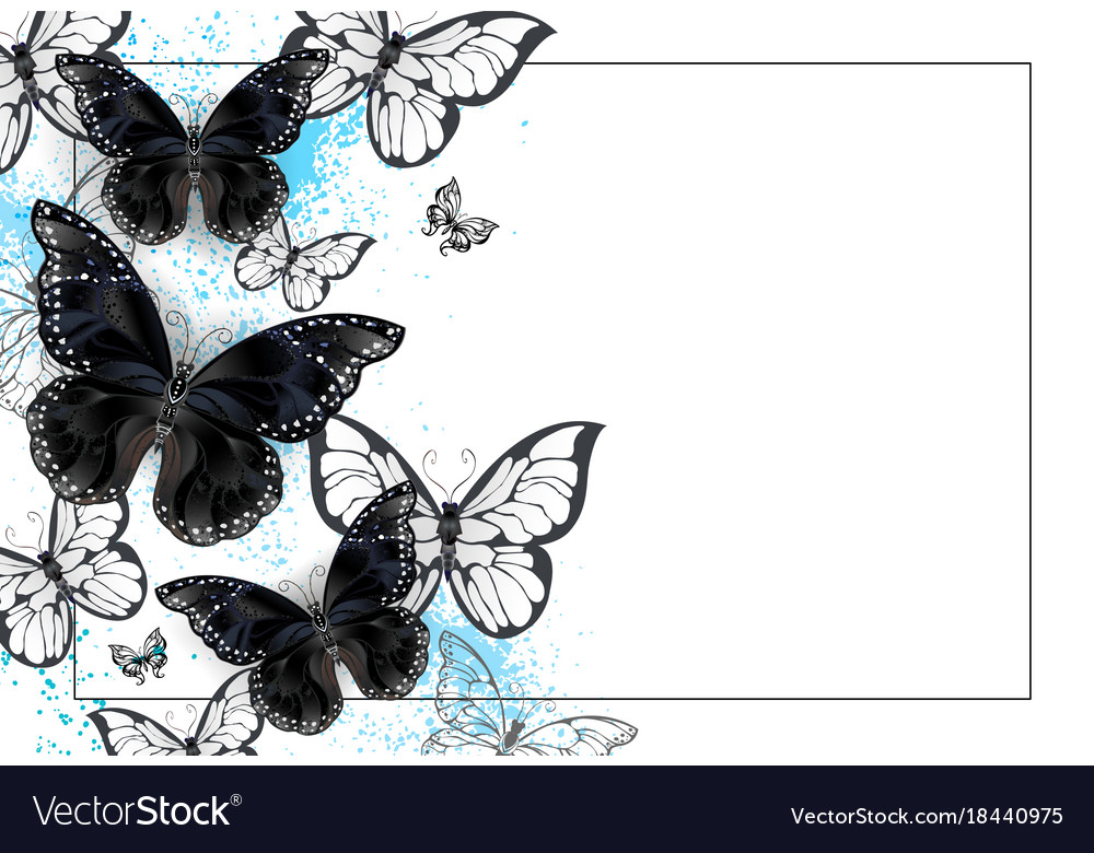Background With Black Butterflies Royalty Vector Image