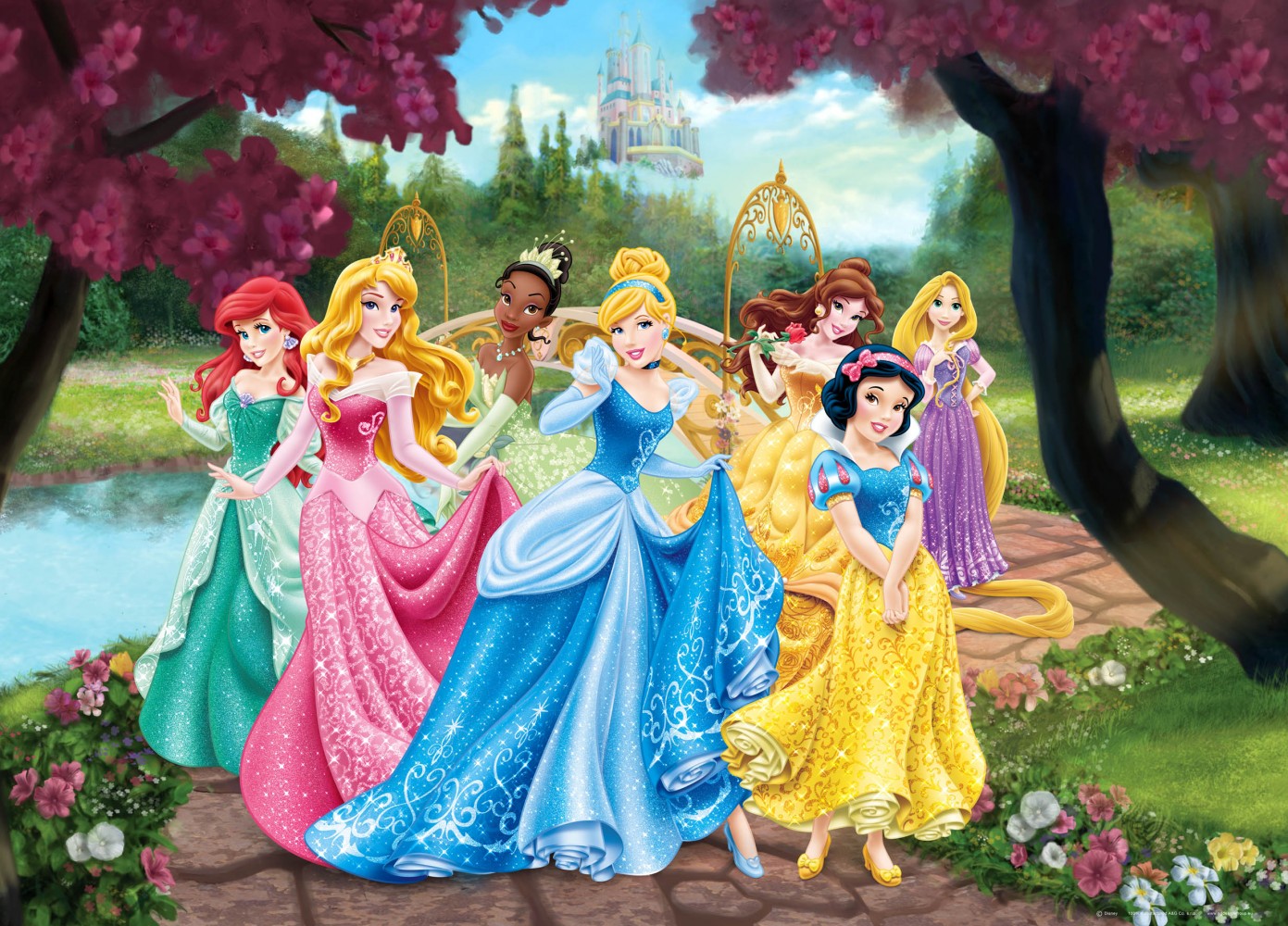 Disney Princess Wallpaper 4k