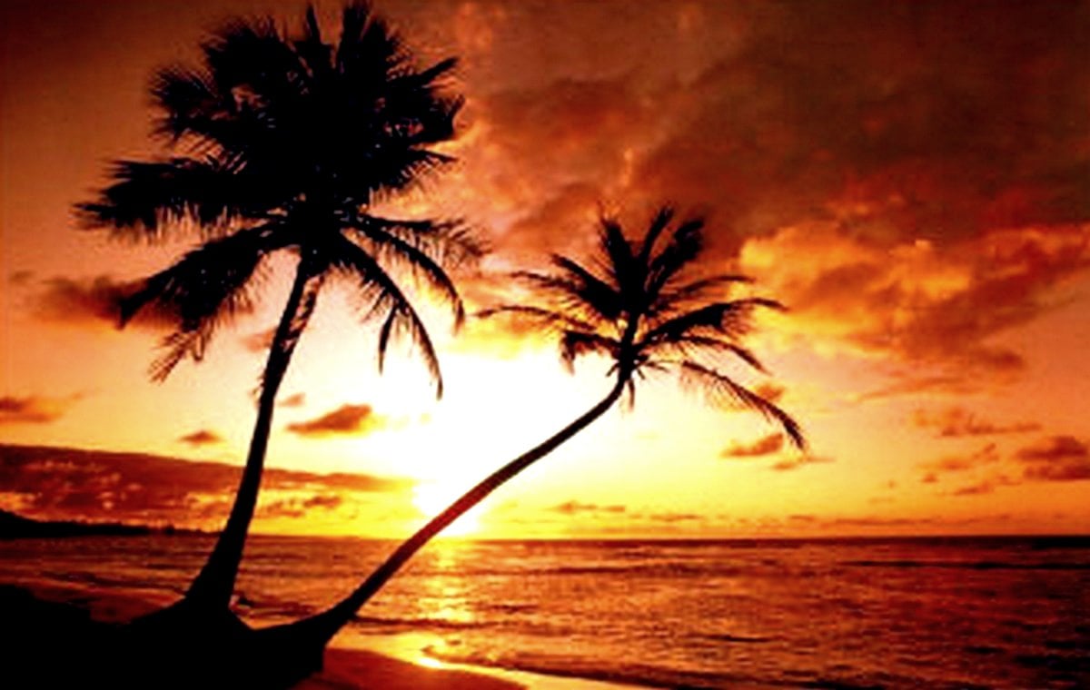 Tropical Beach Sunset wallpaper   ForWallpapercom