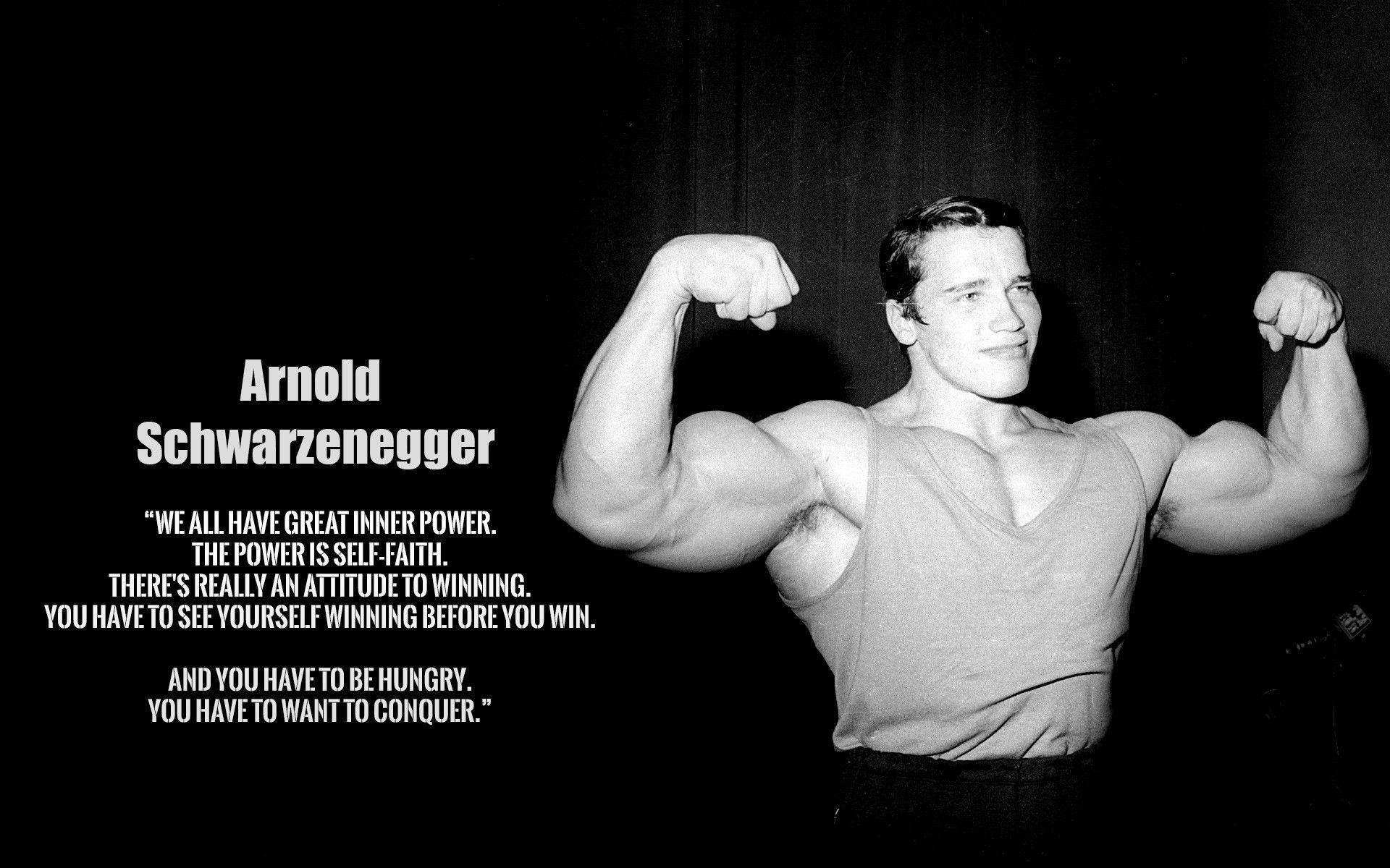 Arnold Schwarzenegger Wallpaper