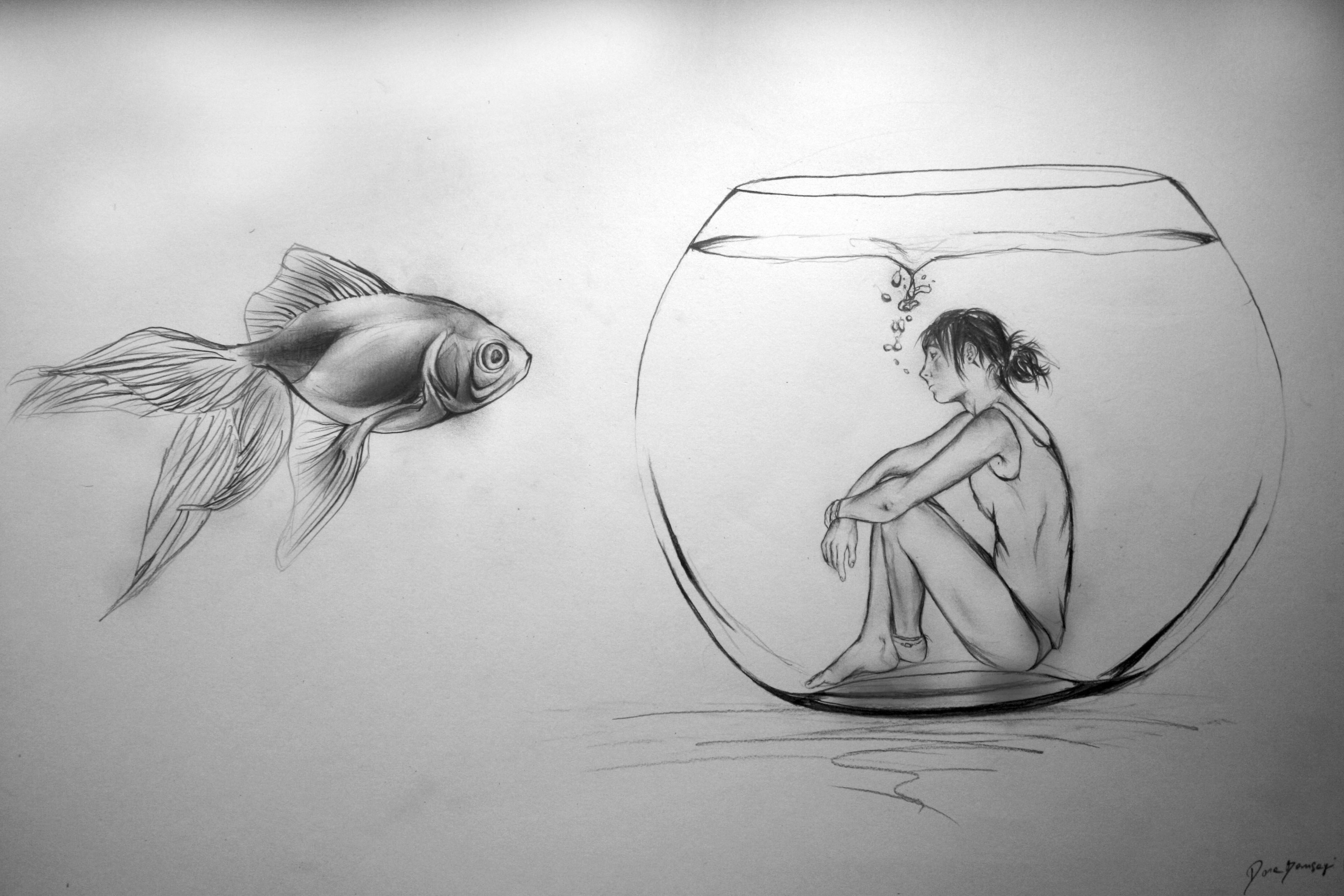 Pencil Drawing Wallpaper At Paintingvalley