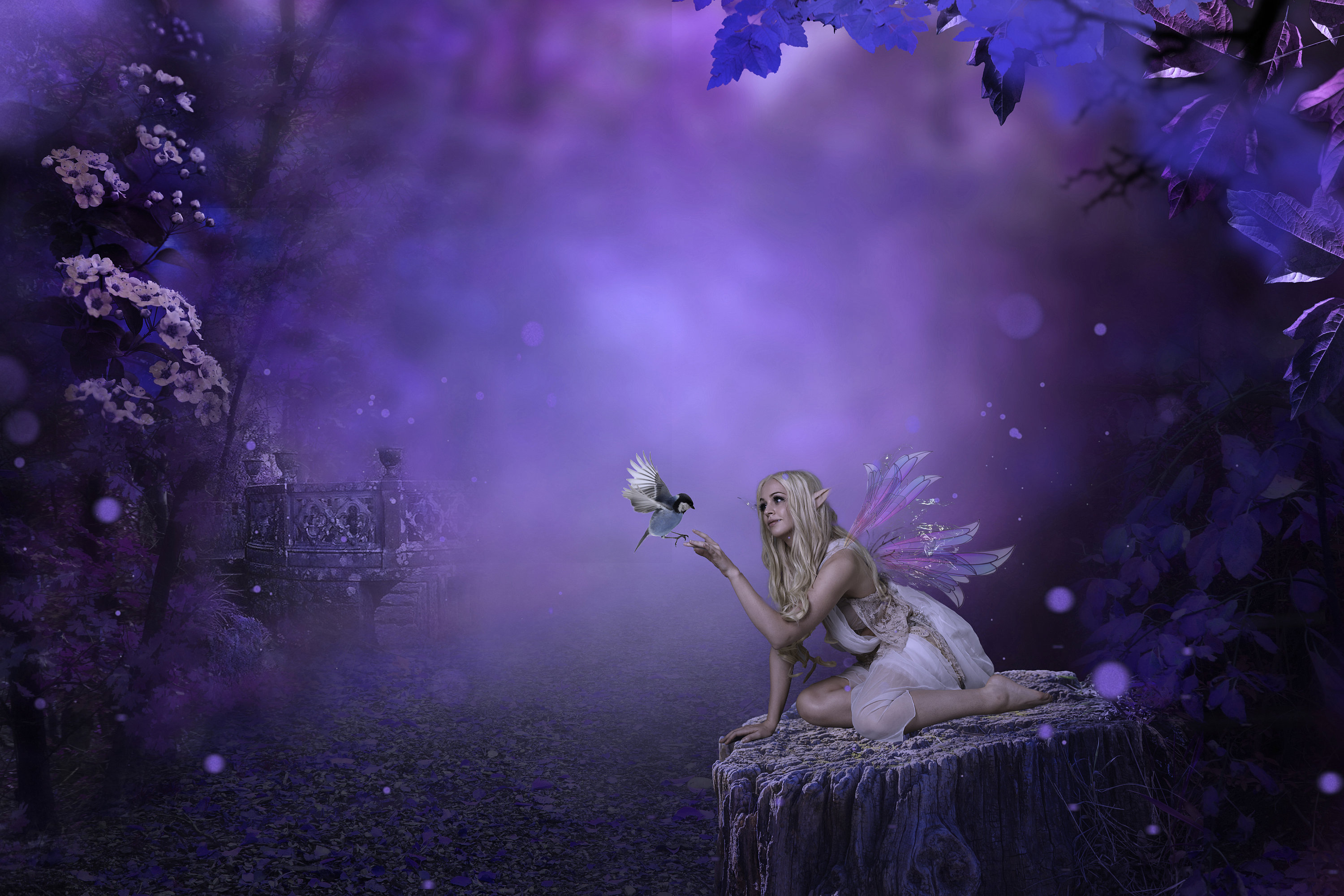 Forest Fairies Wallpaper