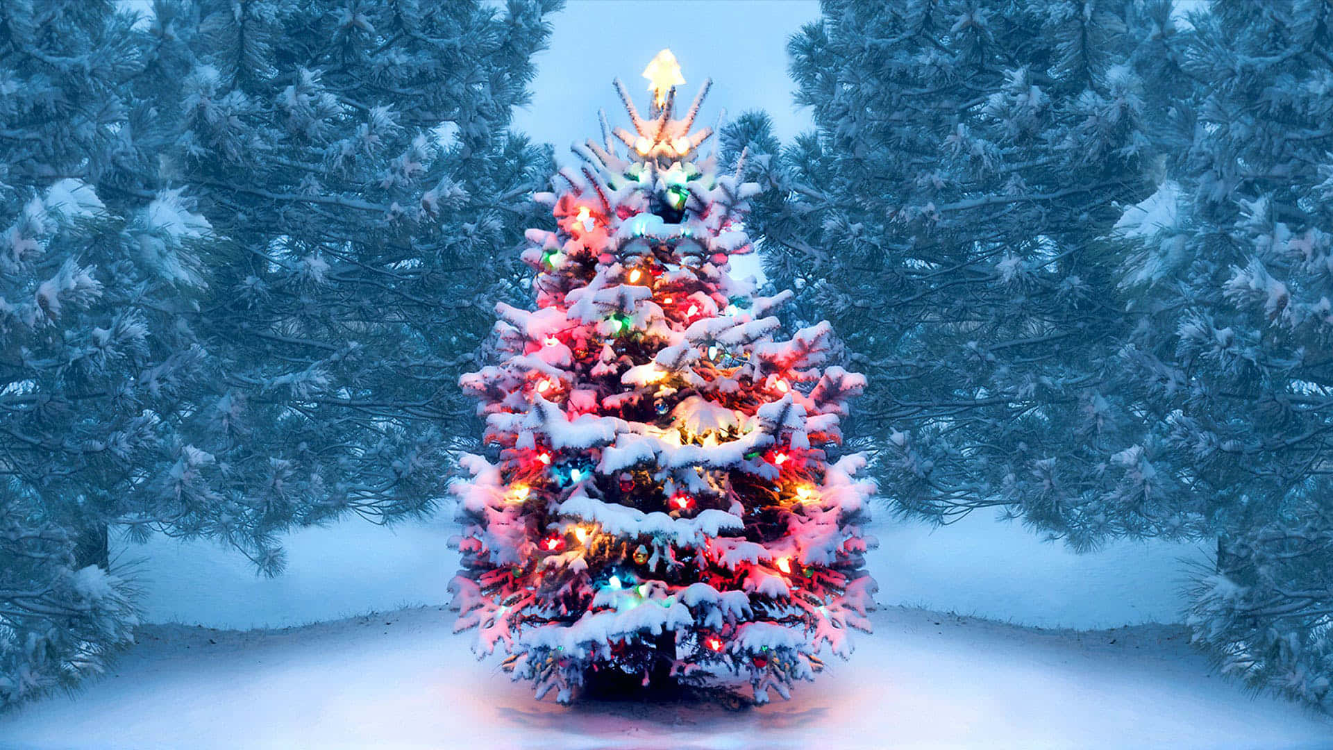 A snow-covered Christmas tree adorned with colorful lights stands in a snowy forest