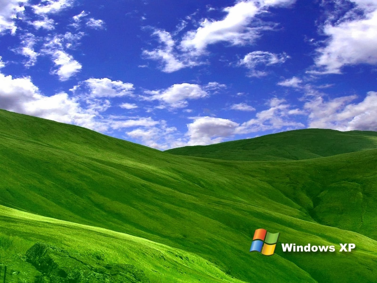Grass Windows Xp Wallpaper Totalinfo90