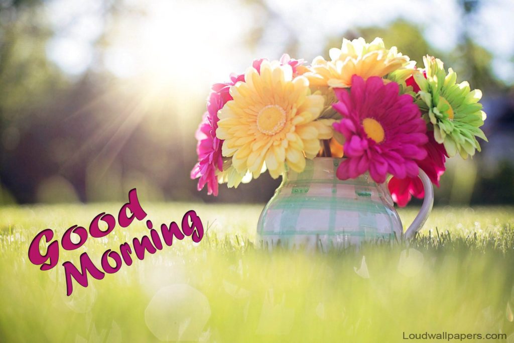 Beautiful Good Morning With Flowers Wishes Wallpaper