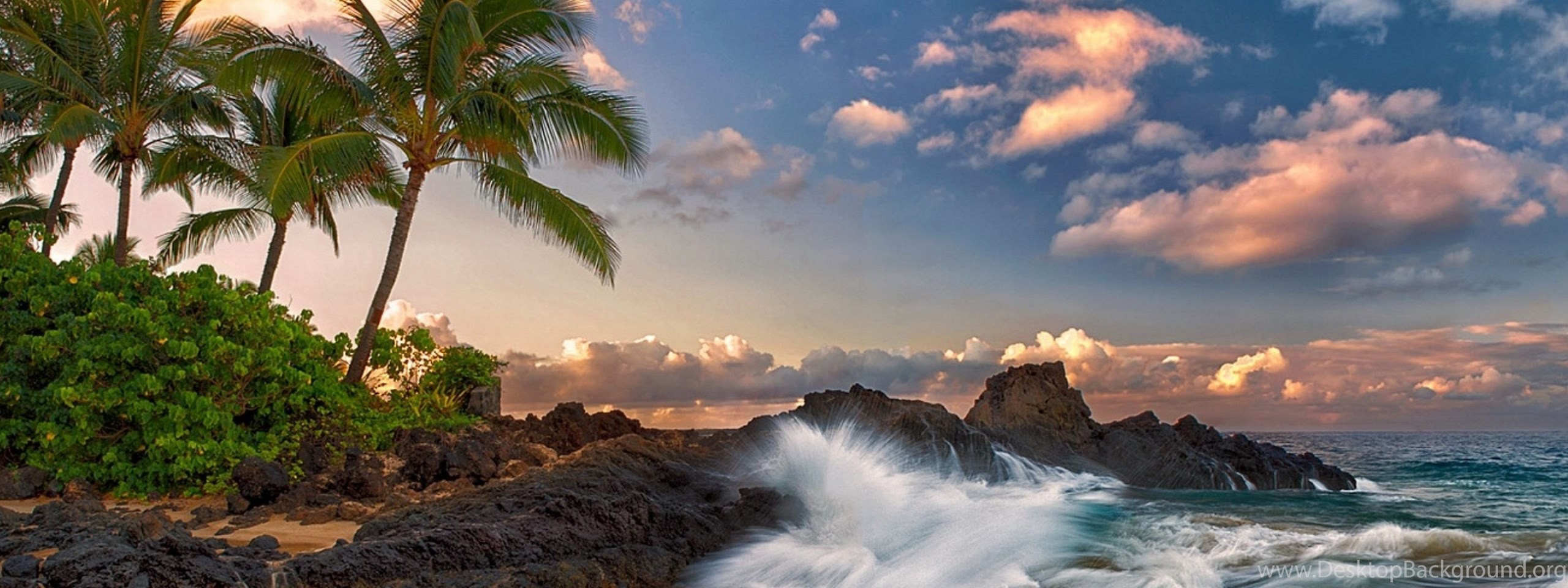 Wallpaper Maui Hawaii Pacific Ocean Rock