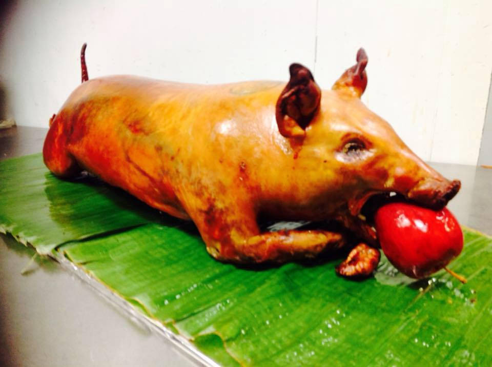 Lechon Picture Wallpaper