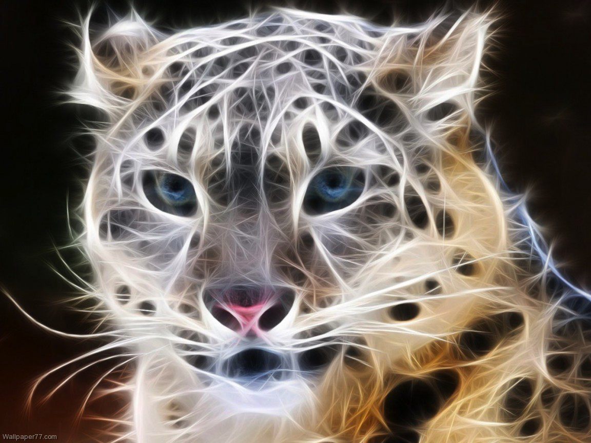 Snow Leopard Wector abstract wallpapers vector wallpaper vectors 1152x864