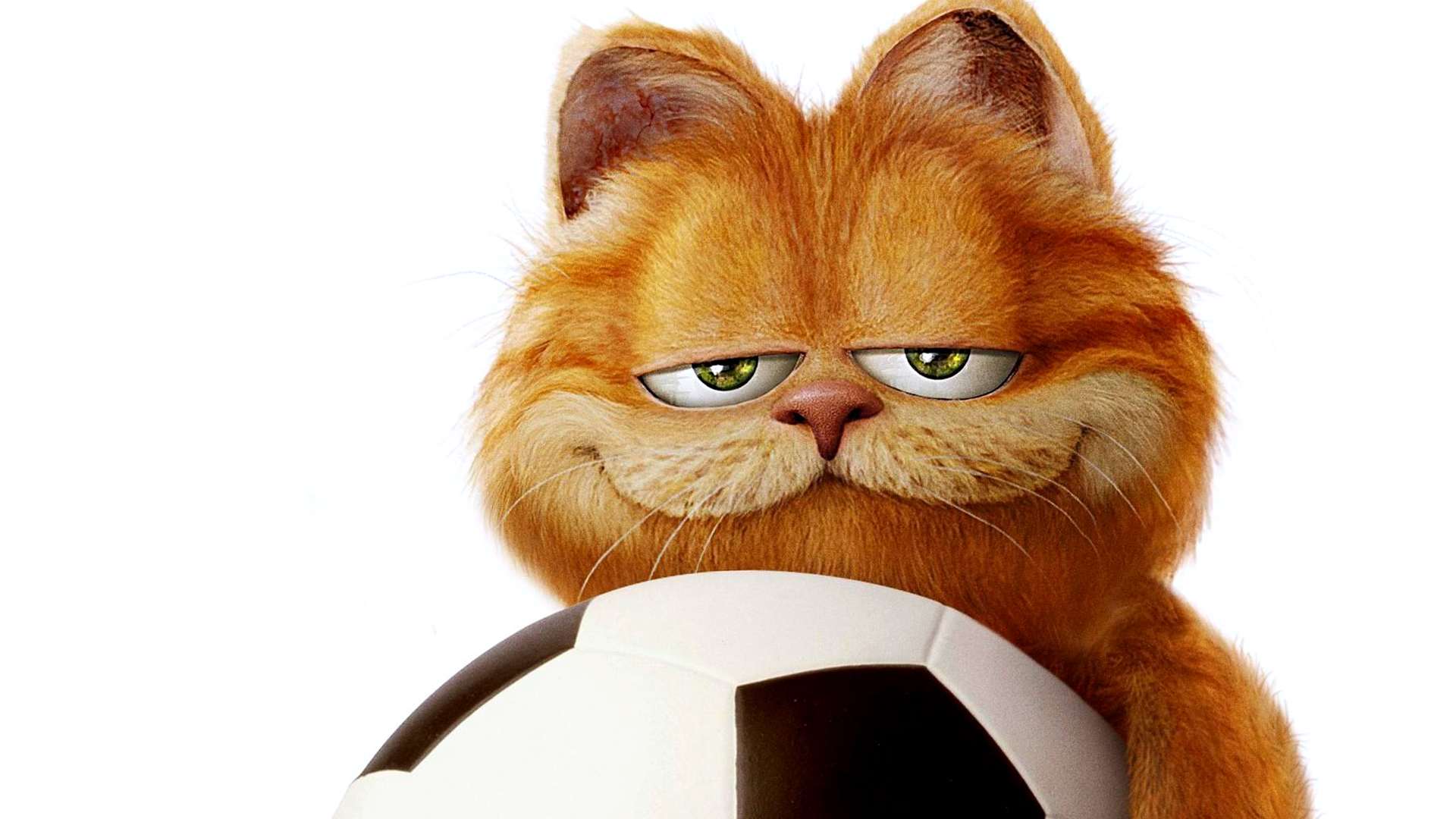Funny Garfield Desktop Wallpaper HD And Mobile