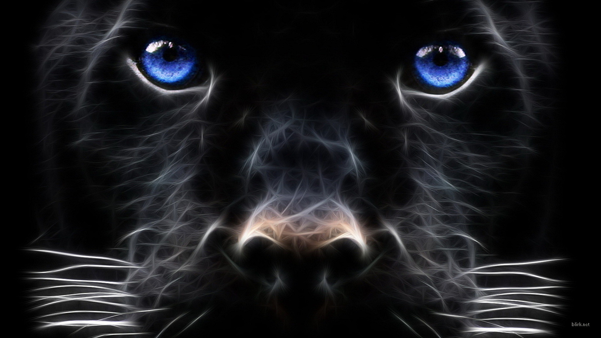 Black Beast, black, jaguar, feline, cats, HD wallpaper | Peakpx