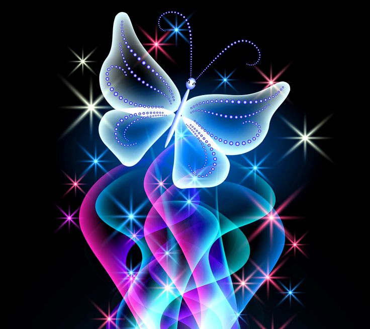 Animal Wallpaper Neon Butterfly Desktop Background HD
