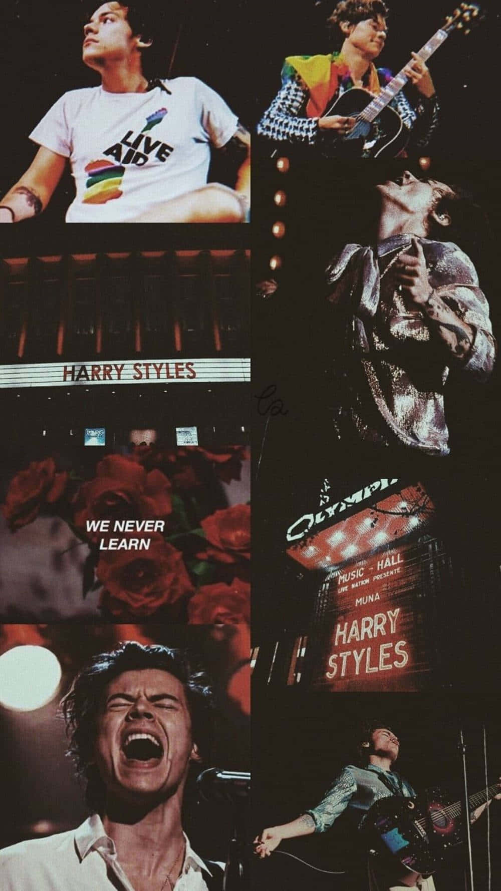 Harry Styles Collage Wallpaper