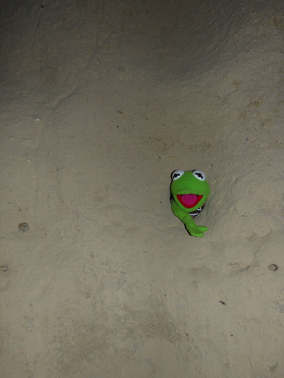 Kermit The Frog Aesthetic Wallpaper