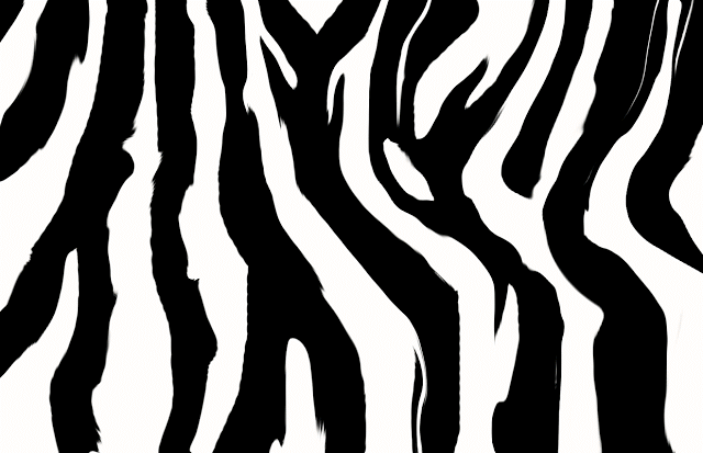 Zebra Wallpaper The Animal Life