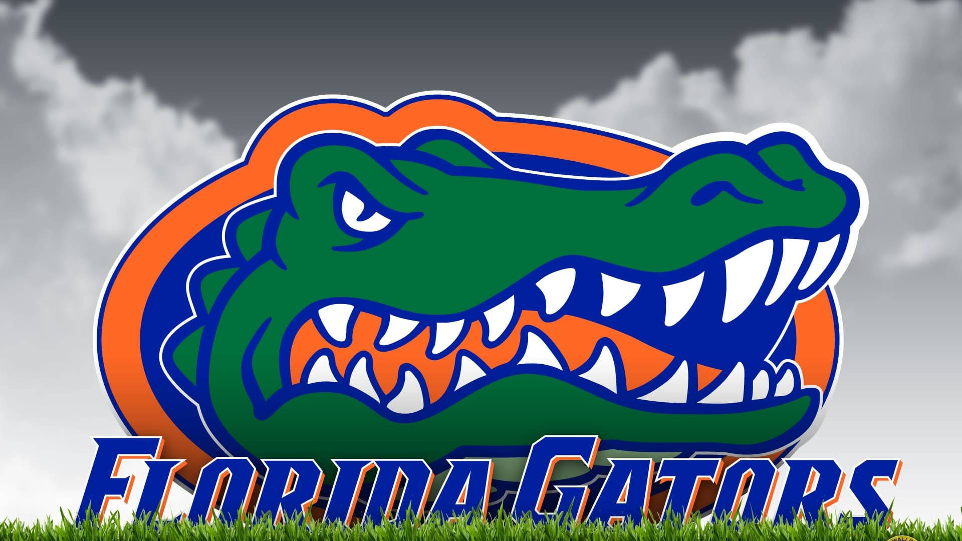 Florida Gators Picture Wallpaper