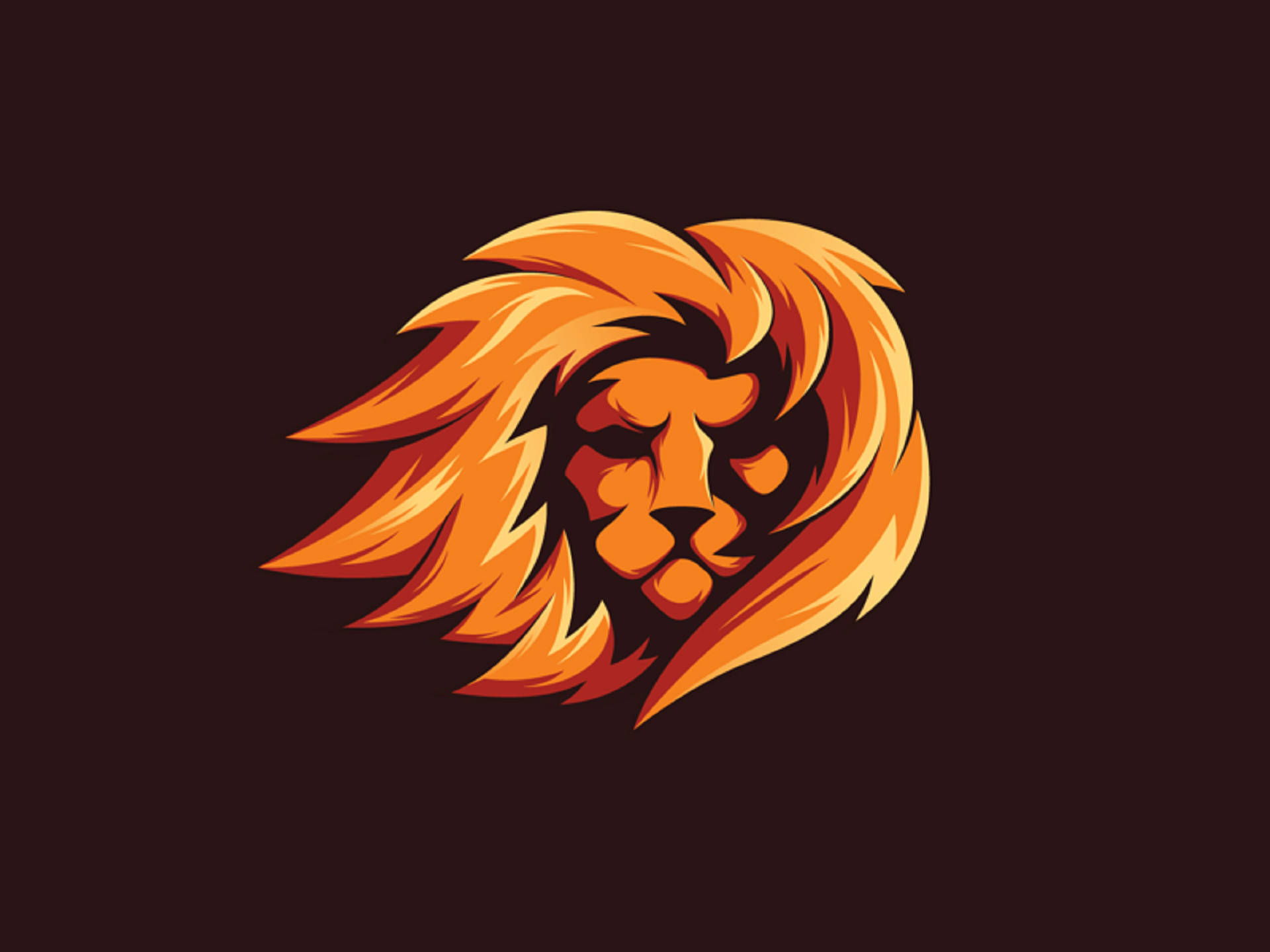 Top Lion Head Wallpaper Full HD 4k To Use