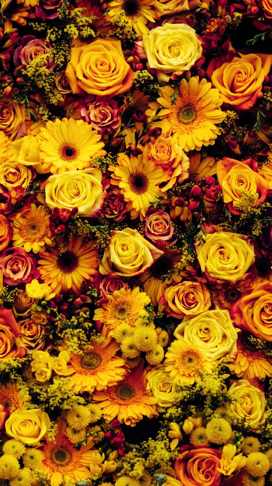 Best Flower iPhone X HD Wallpapers  iLikeWallpaper