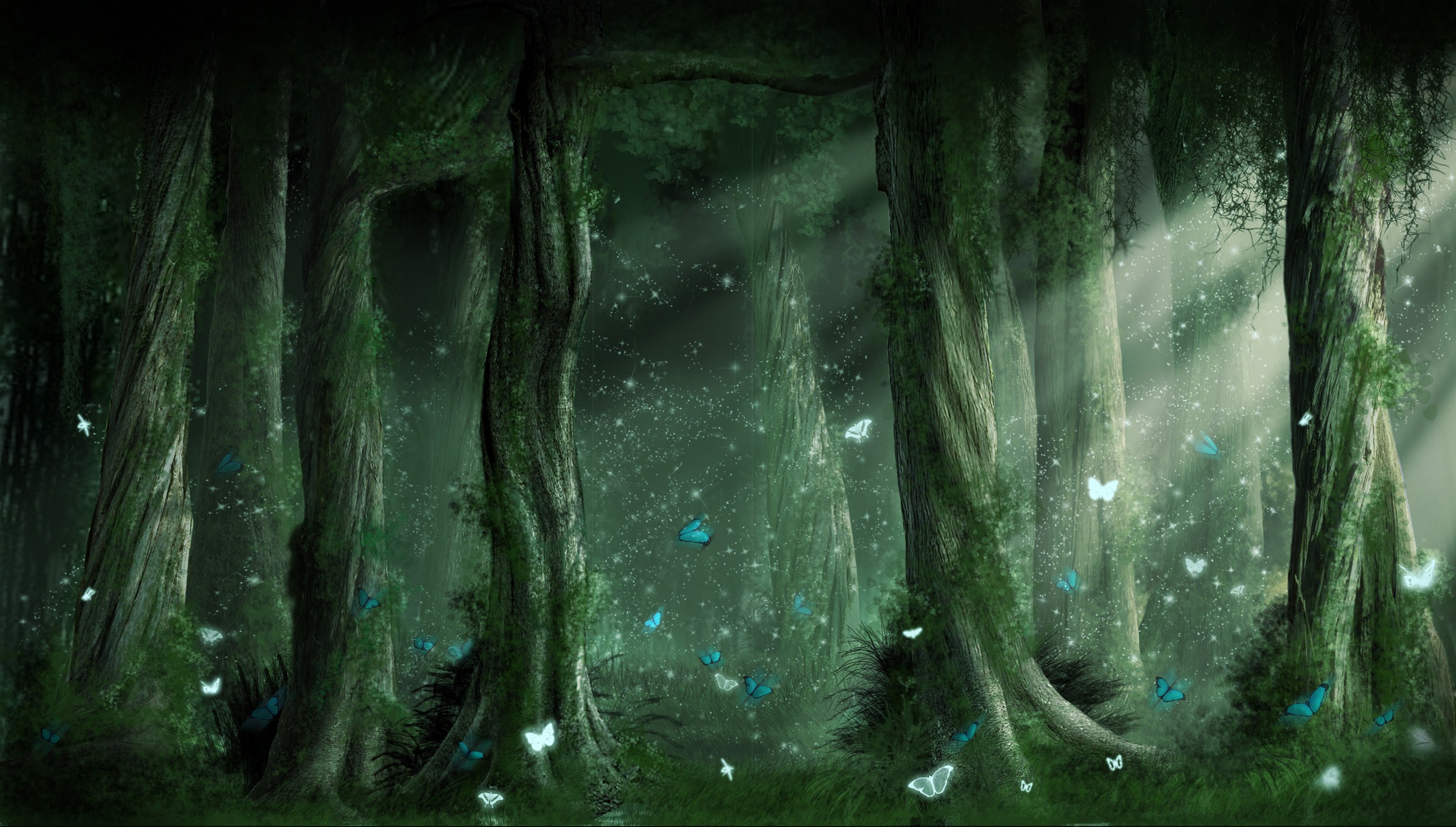 Dark Forest Background Wallpaper HD