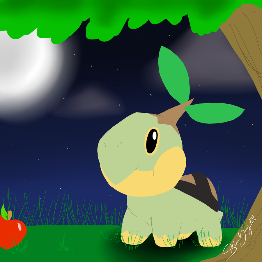 Turtwig Wallpaper Gift By Whitefire