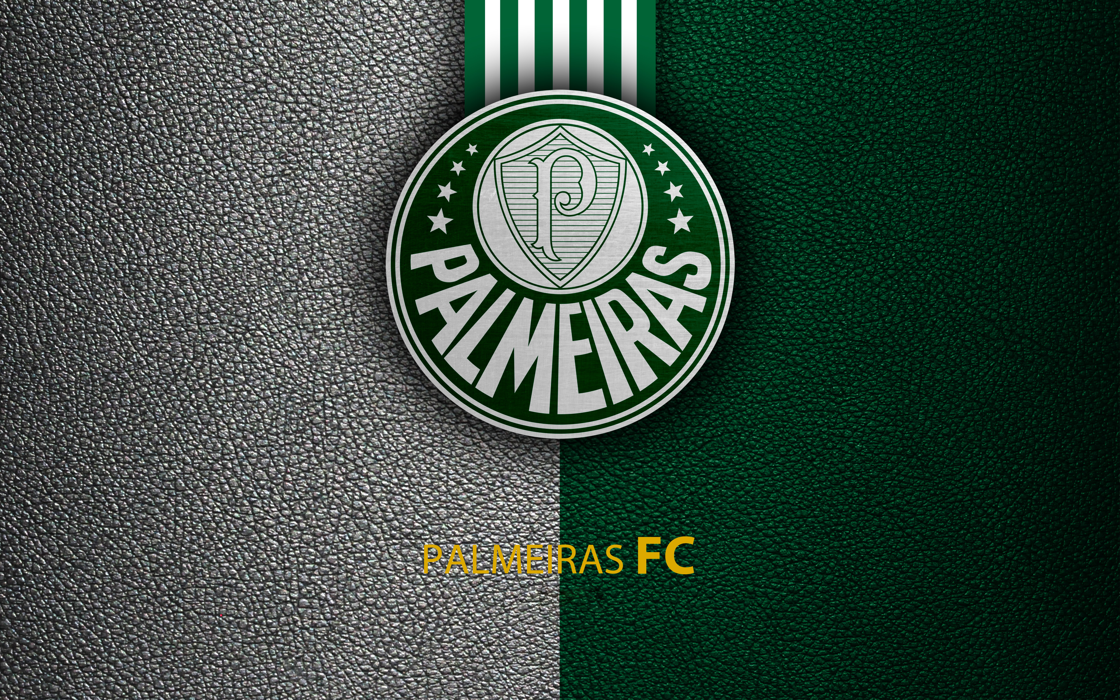 Palmeiras Logo 4k Ultra HD Wallpaper Background Image