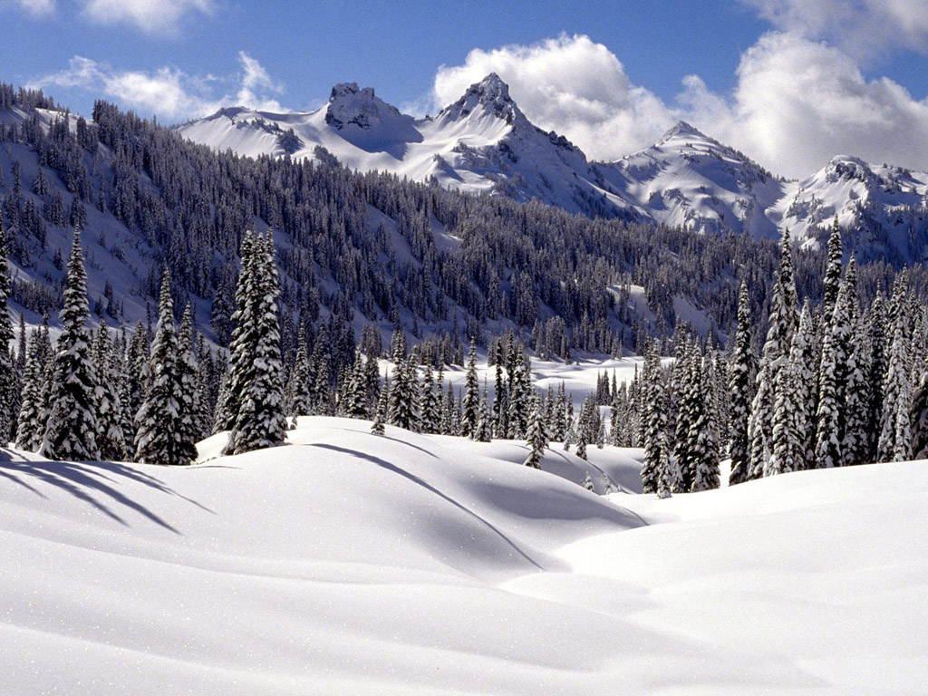 Winter wonderland Dreamy Snow Scene wallpaper 1024x768 NO30 Desktop