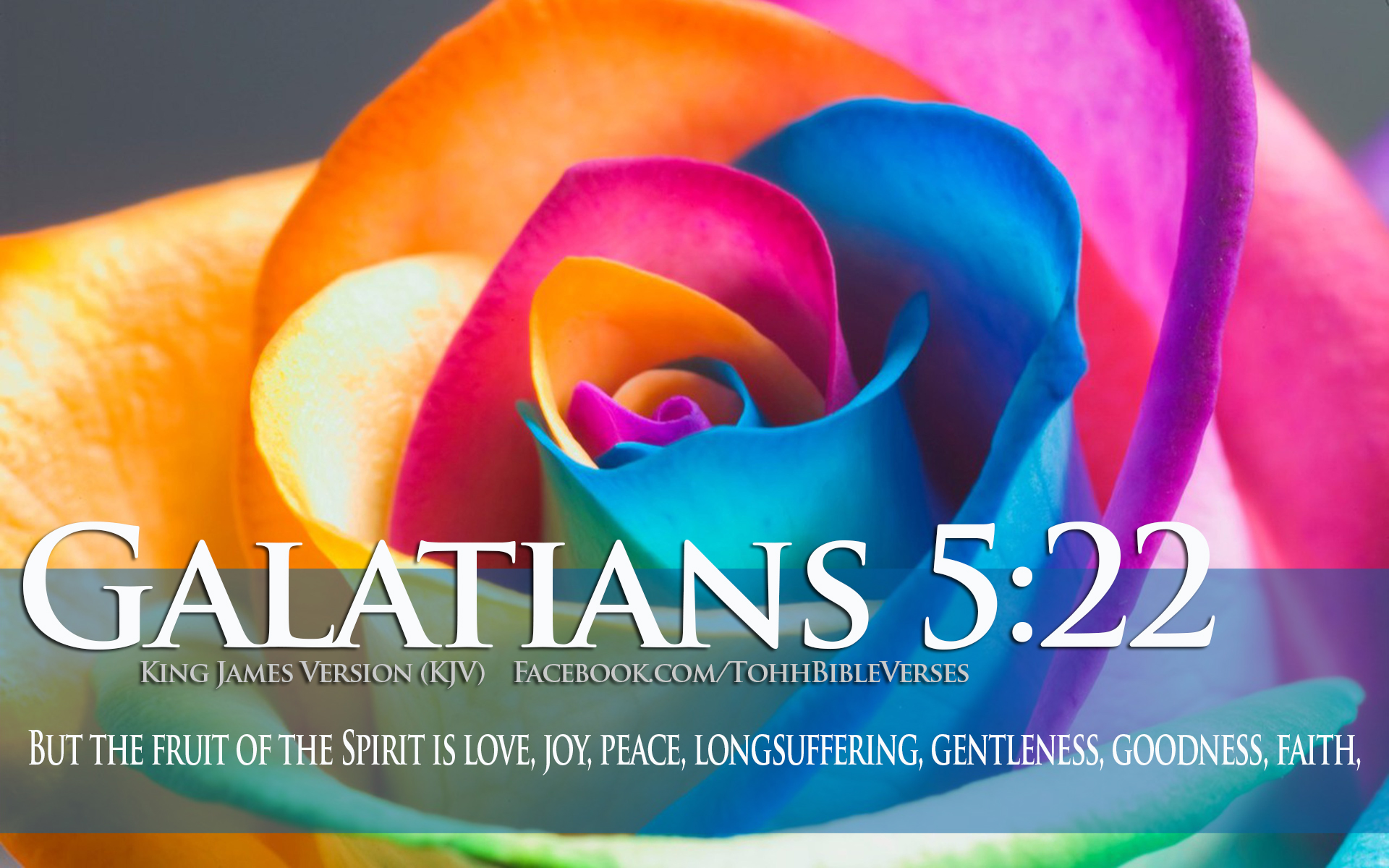 About Love Galatians Colorful Flower Christian HD Wallpaper Jpg