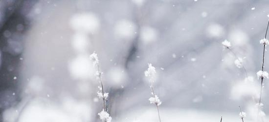Winter Wonderland Iphone Wallpaper Winter wonderland wallpaper