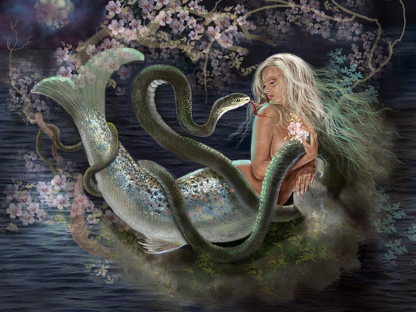 Fantasy Mermaid Wallpaper