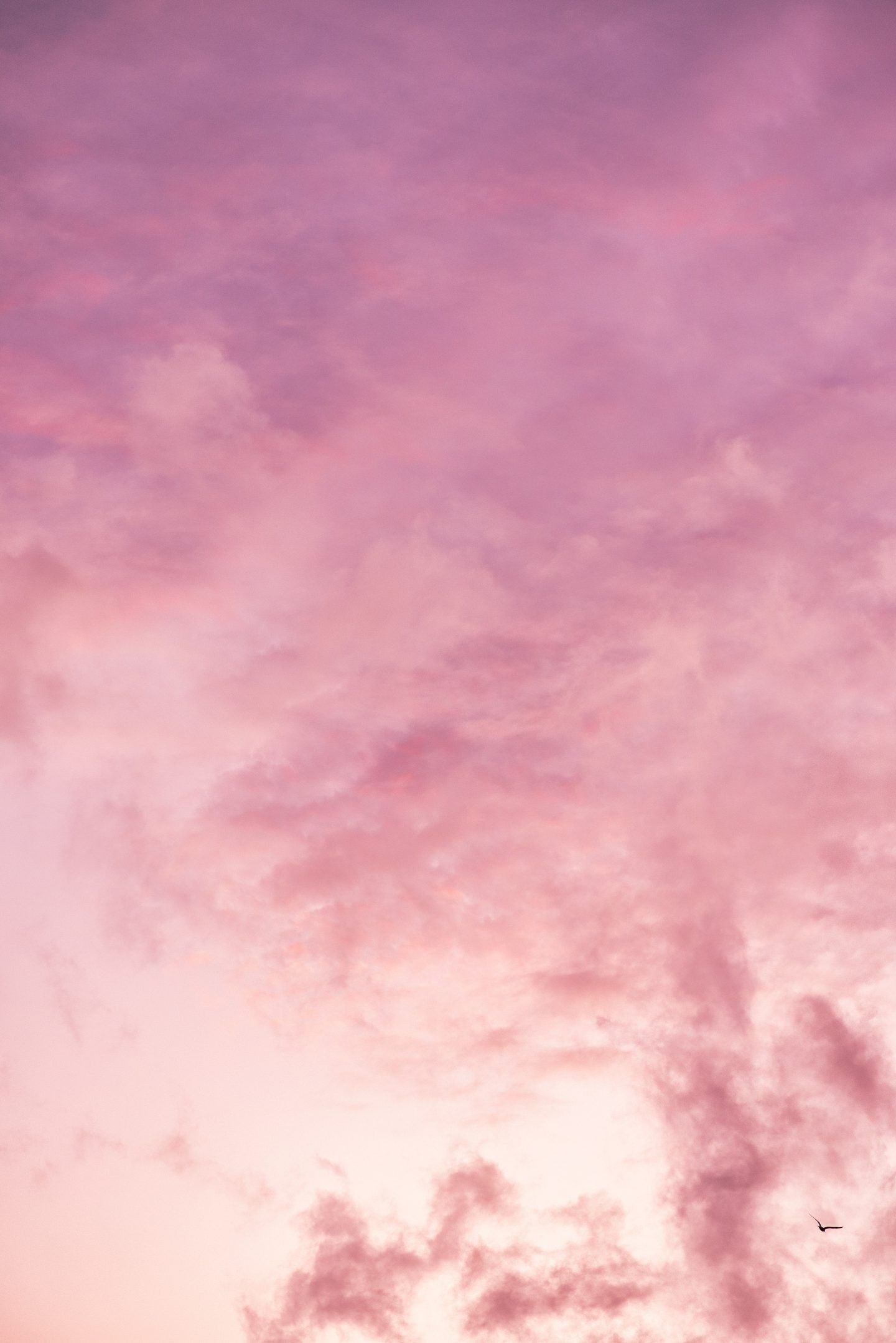 Pink Phone Aesthetic Wallpaper