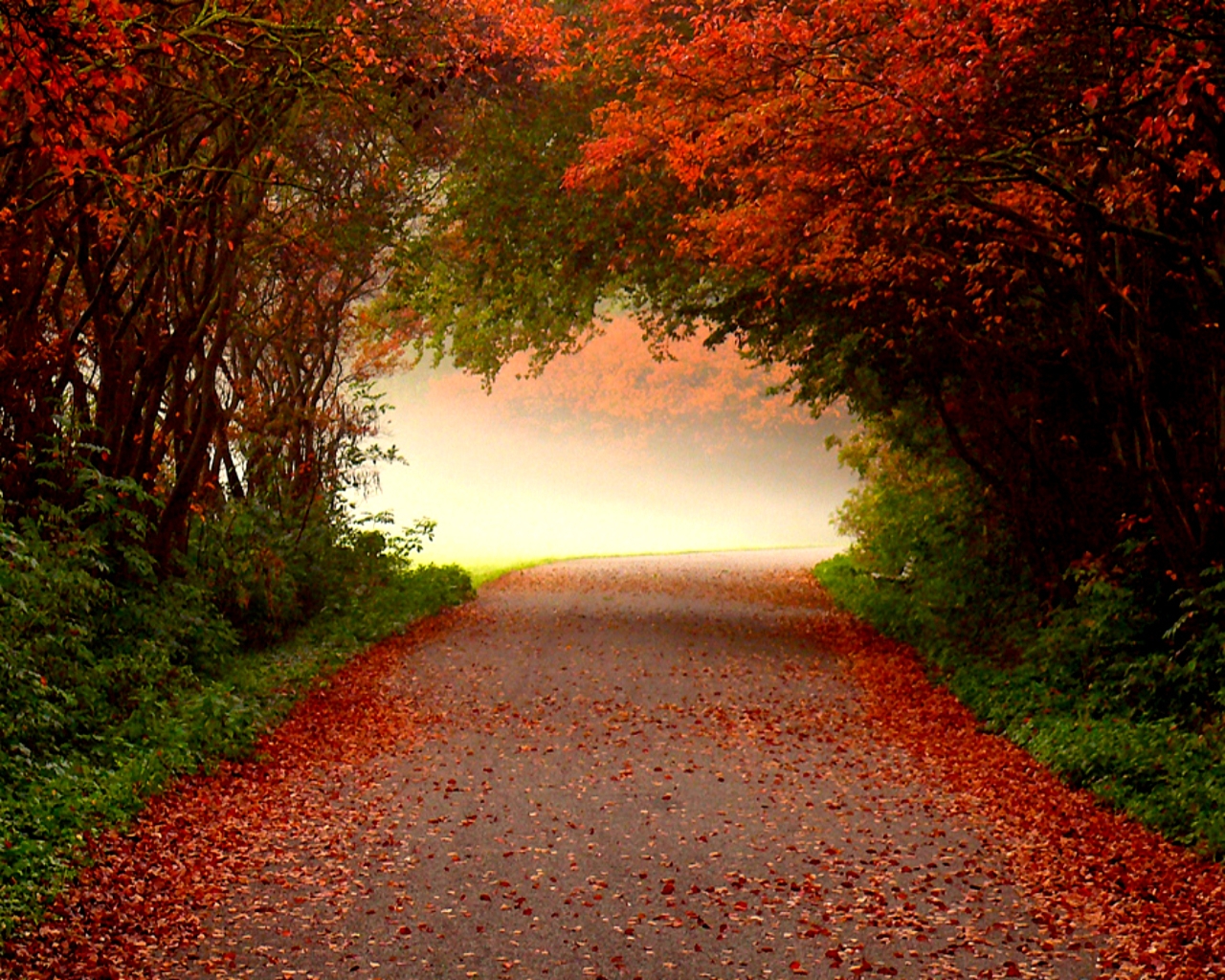 Fall Desktop Background Wallpaper HD Background