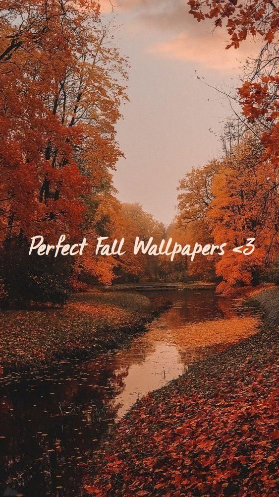 Perfect Fall Wallpaper