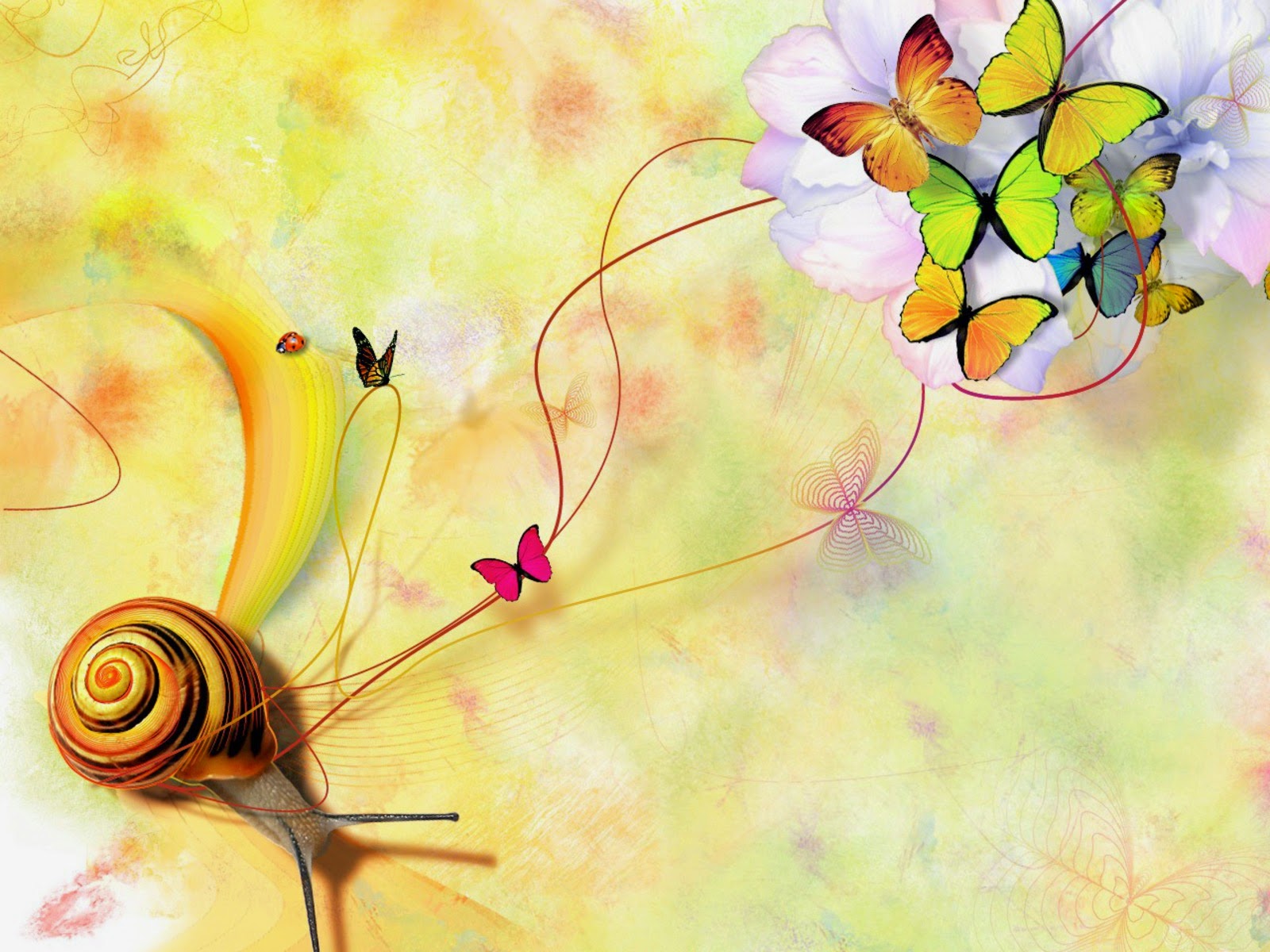 Colorful Butterfly designs background for desktop Abstract
