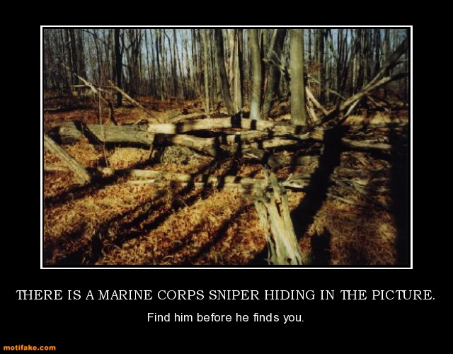 there is a marine corps sniper hiding in the picture marine