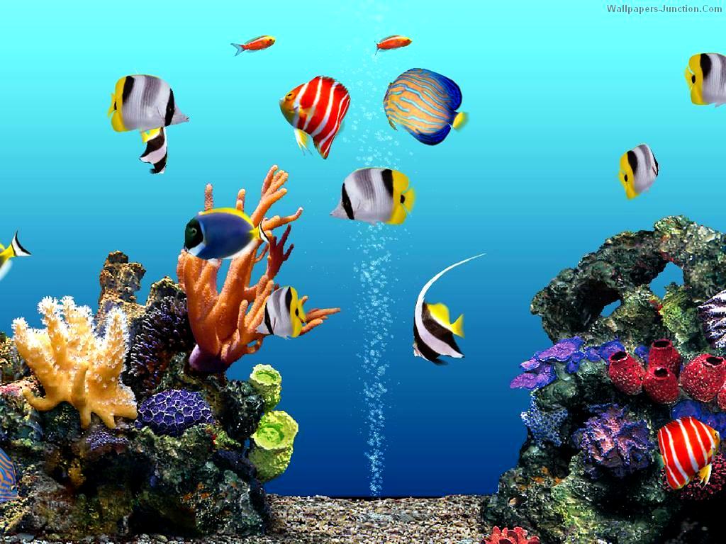 With Aquarium Background 3d
