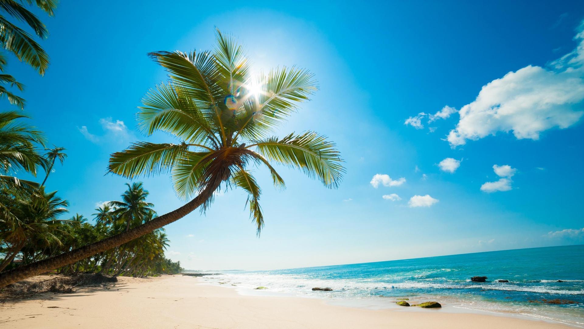 HD Relaxing Wallpaper For Android Apk