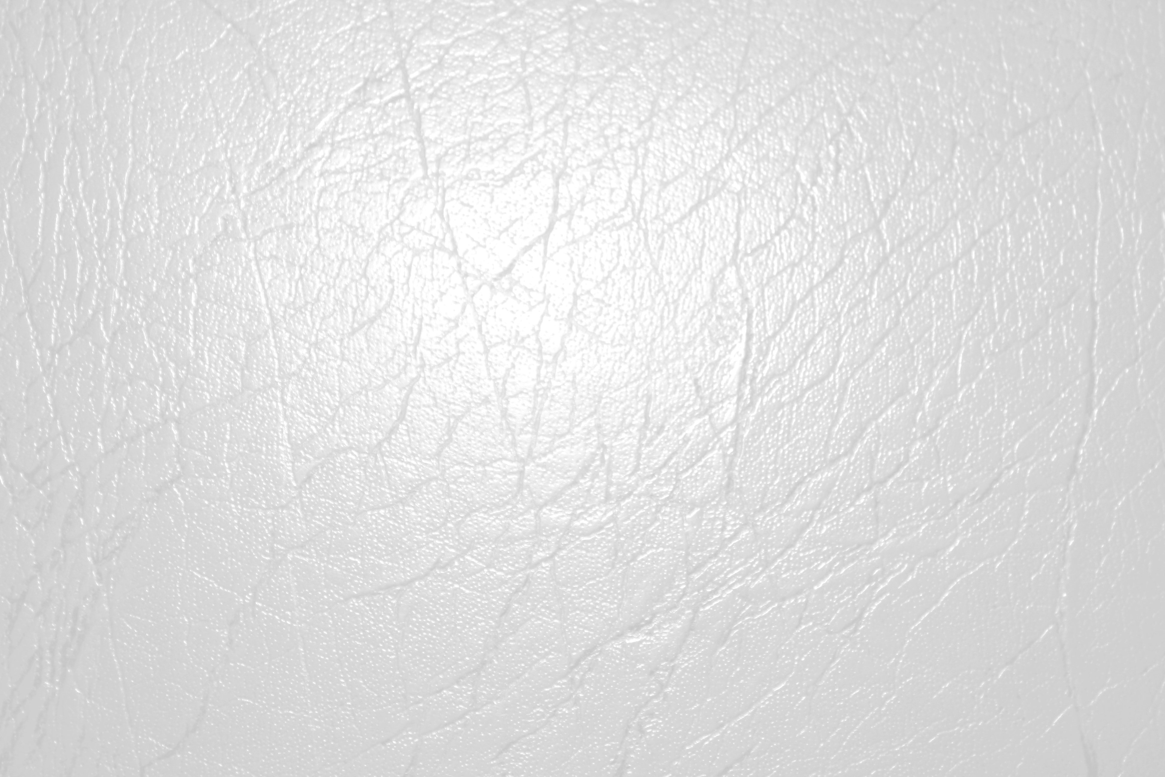 29+] Bright White Wallpaper - WallpaperSafari