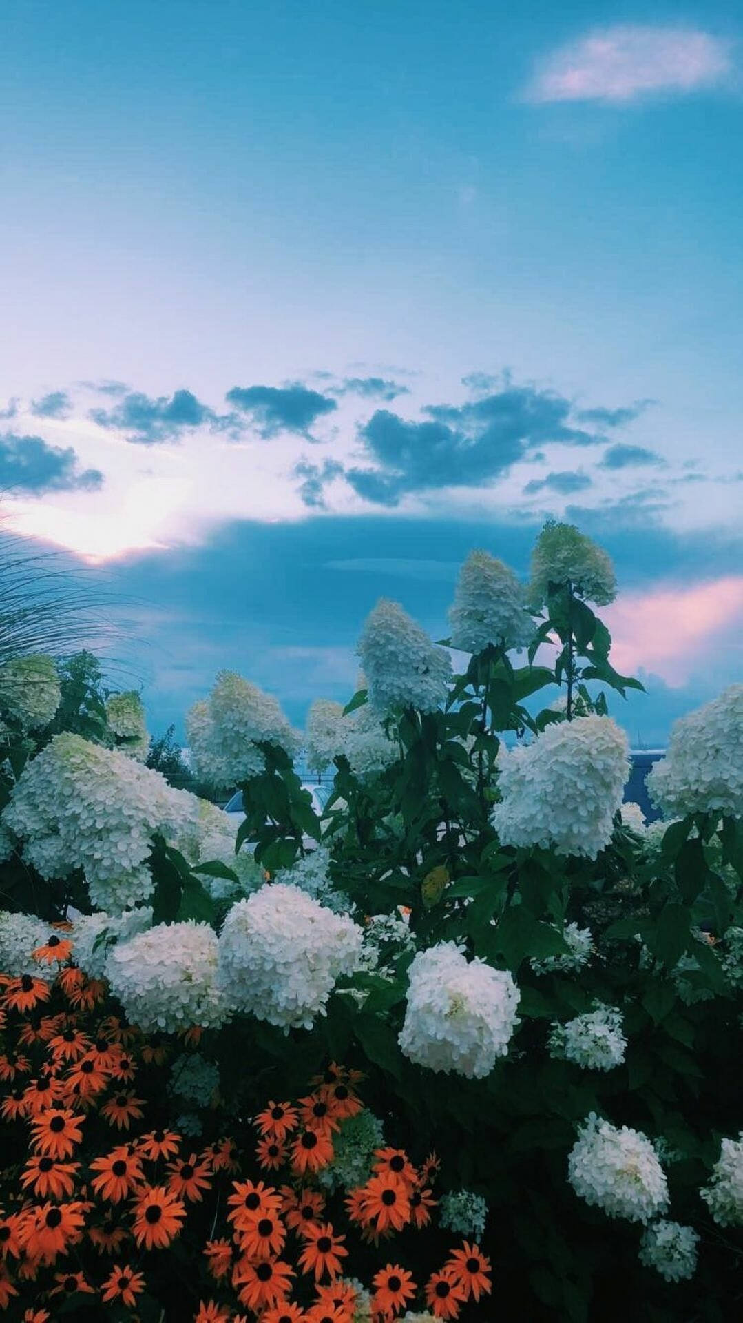 Spring Aesthetic Wallpaper