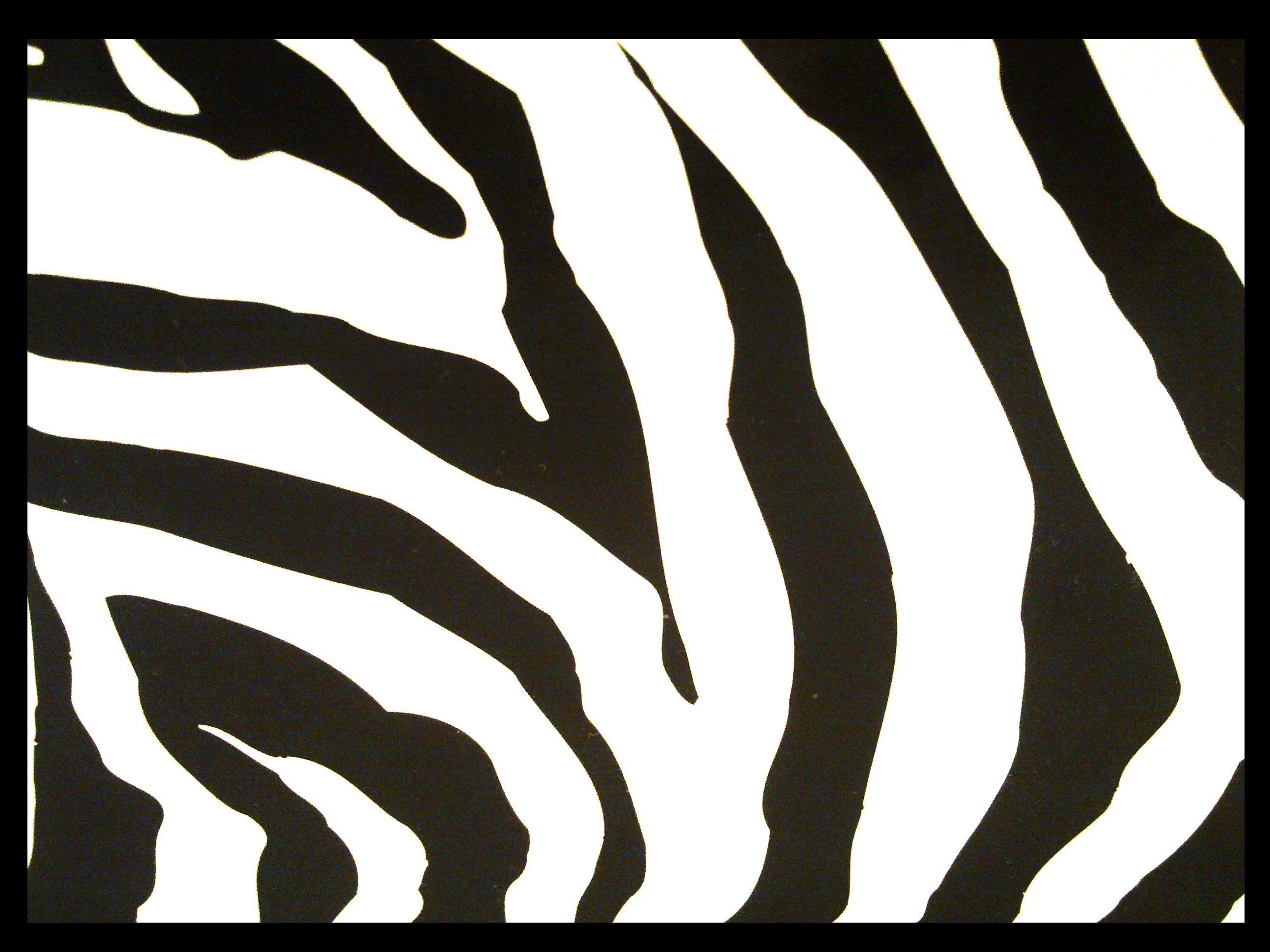 Zebra Wallpaper Digital HD Animated Pictures