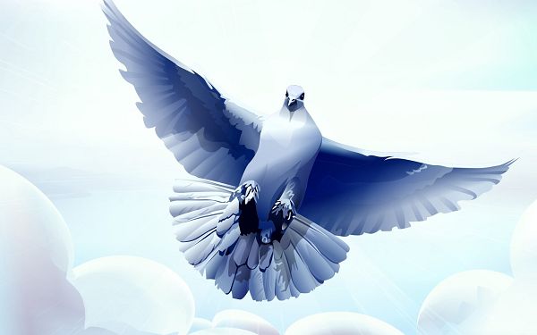 Holy Spirit Dove Background For Wallpaper HD