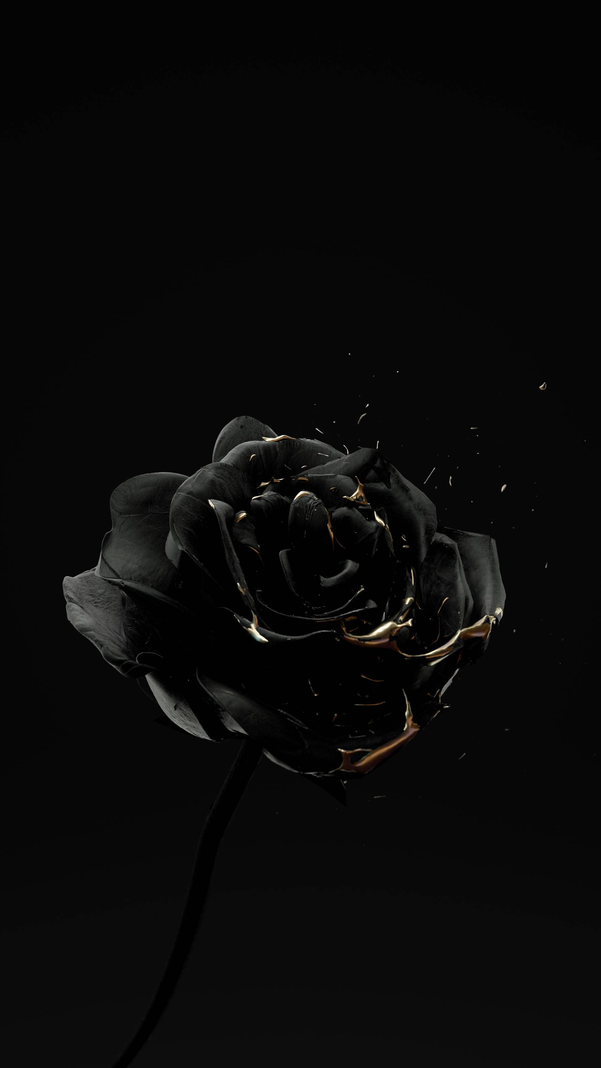 Black Rose iPhone Wallpaper