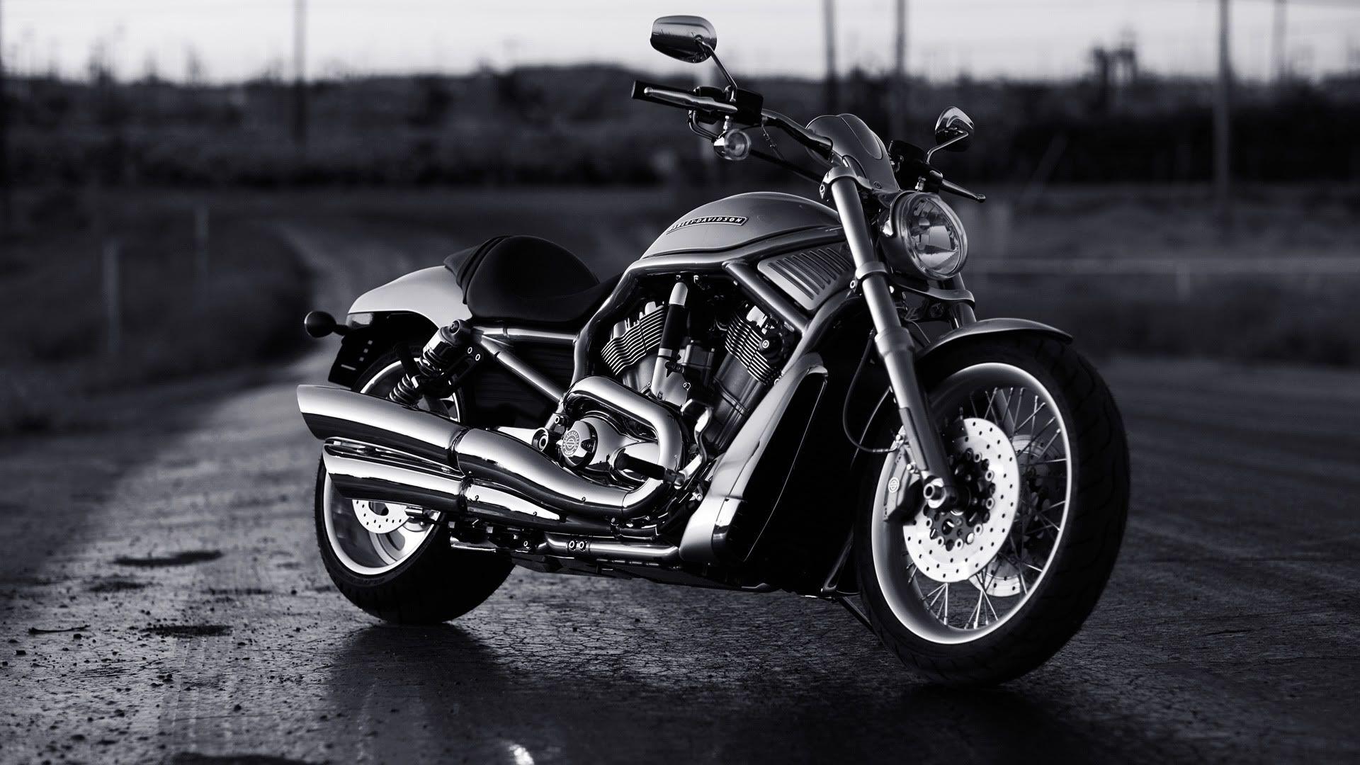 Harley Davidson V Rod Muscle Wallpaper