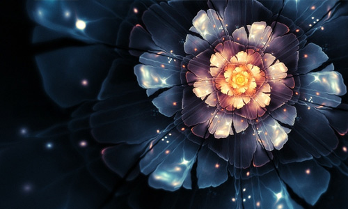Breathtaking Flower Wallpaper To Freshen You Up Naldz Graphics