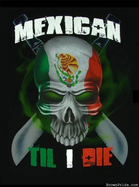 Cool Mexican Wallpapers Mexican till i die