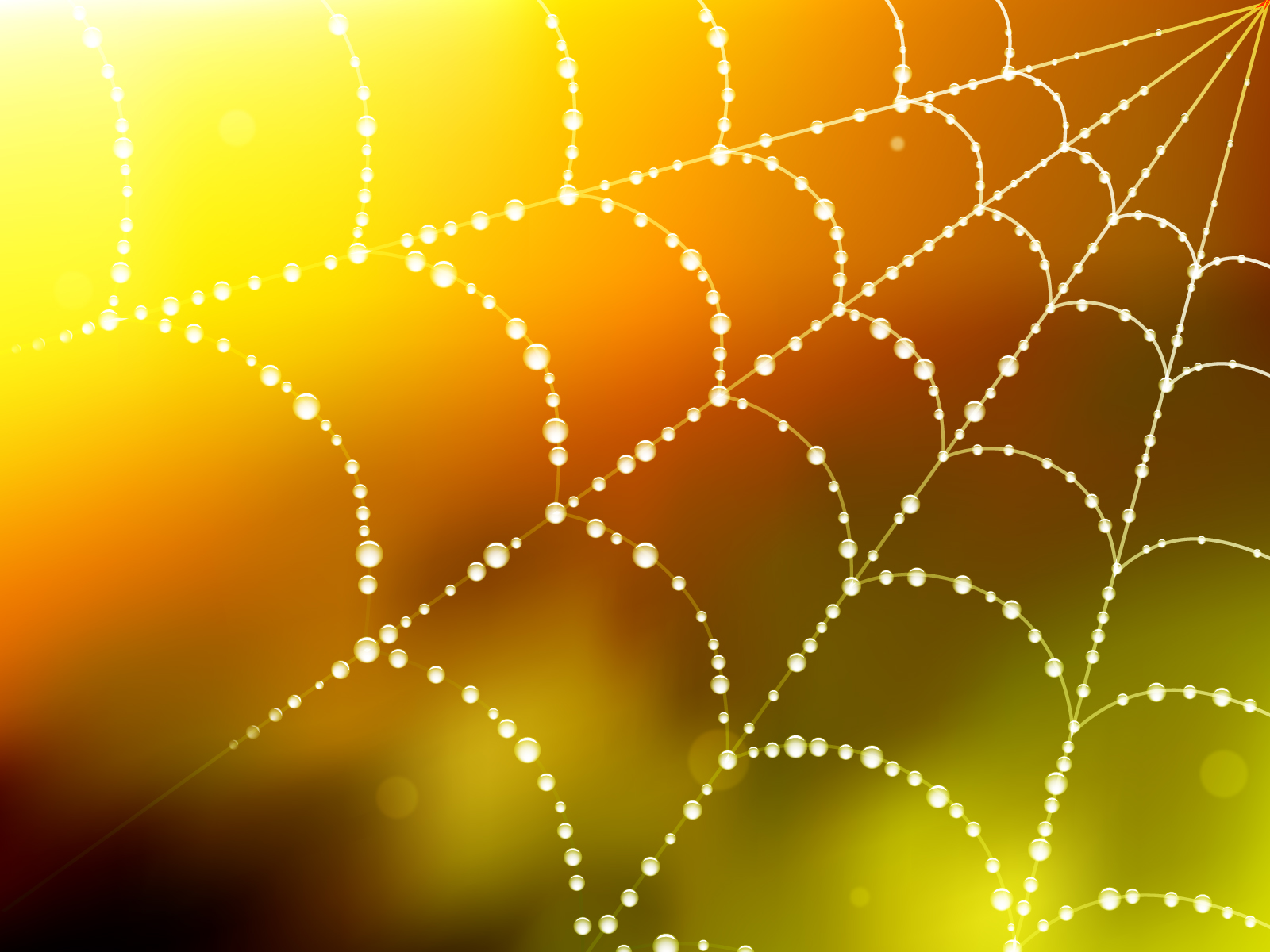 Spider Blur Web Background Beige Brown Technology