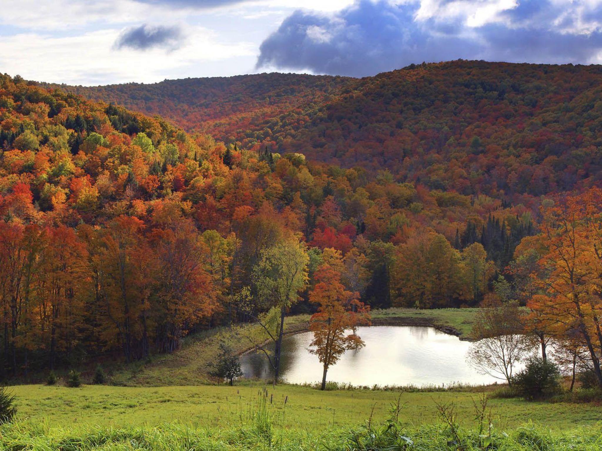 Usa Vermont In Autumn Lake Nature Valley