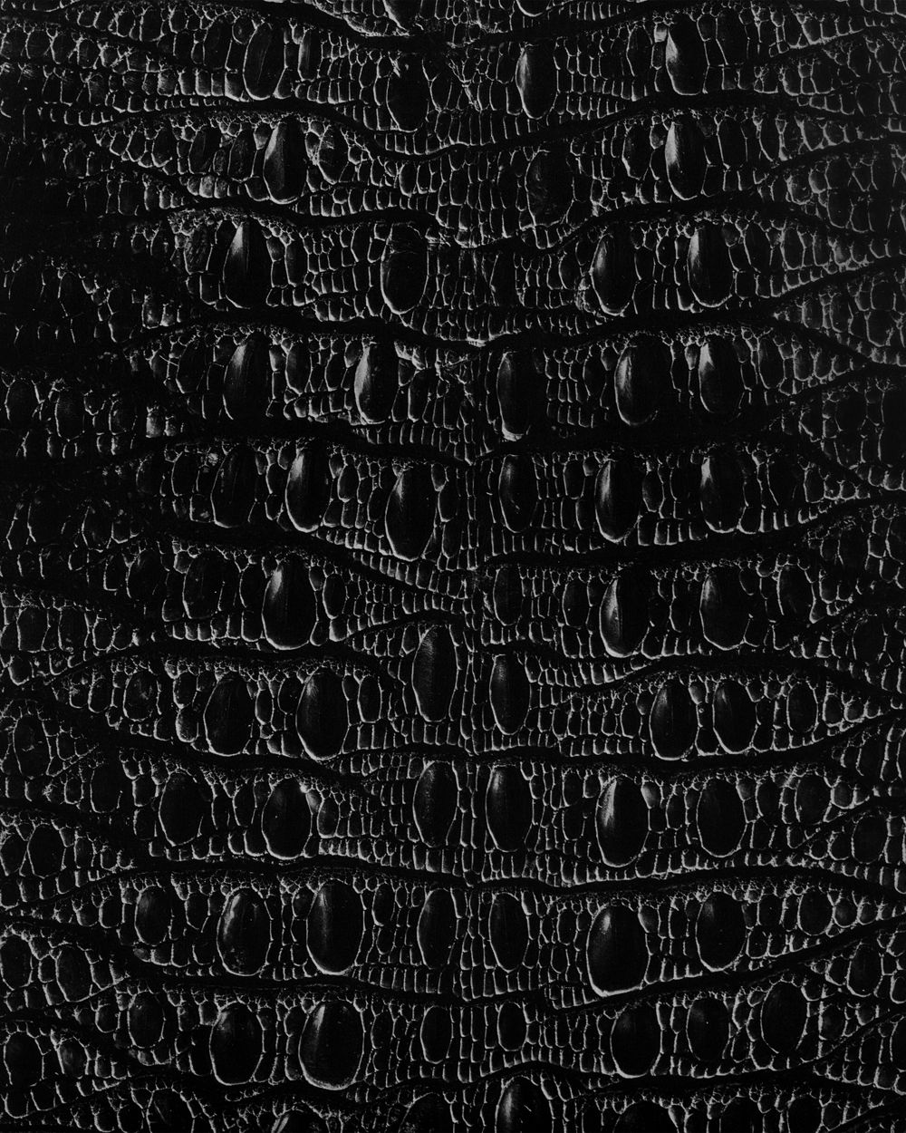 D10 Crocodile Skin uploaded by LordBruno on Tuesday March 04 2008 1000x1250