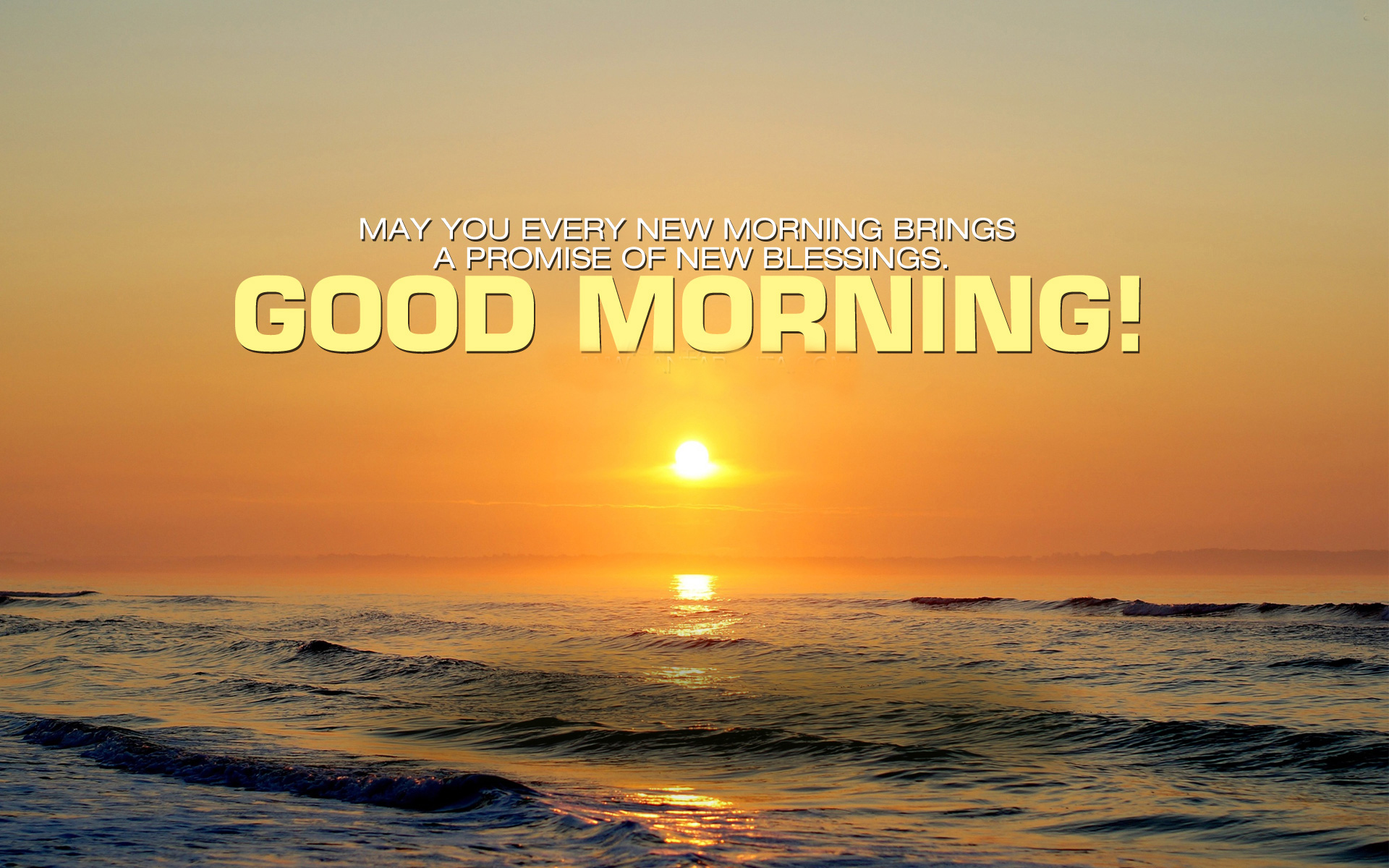 Good Morning Wishes HD Wallpaper