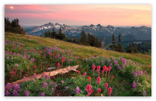 Tatoosh Range Mount Rainier Washington HD Wallpaper For Standard