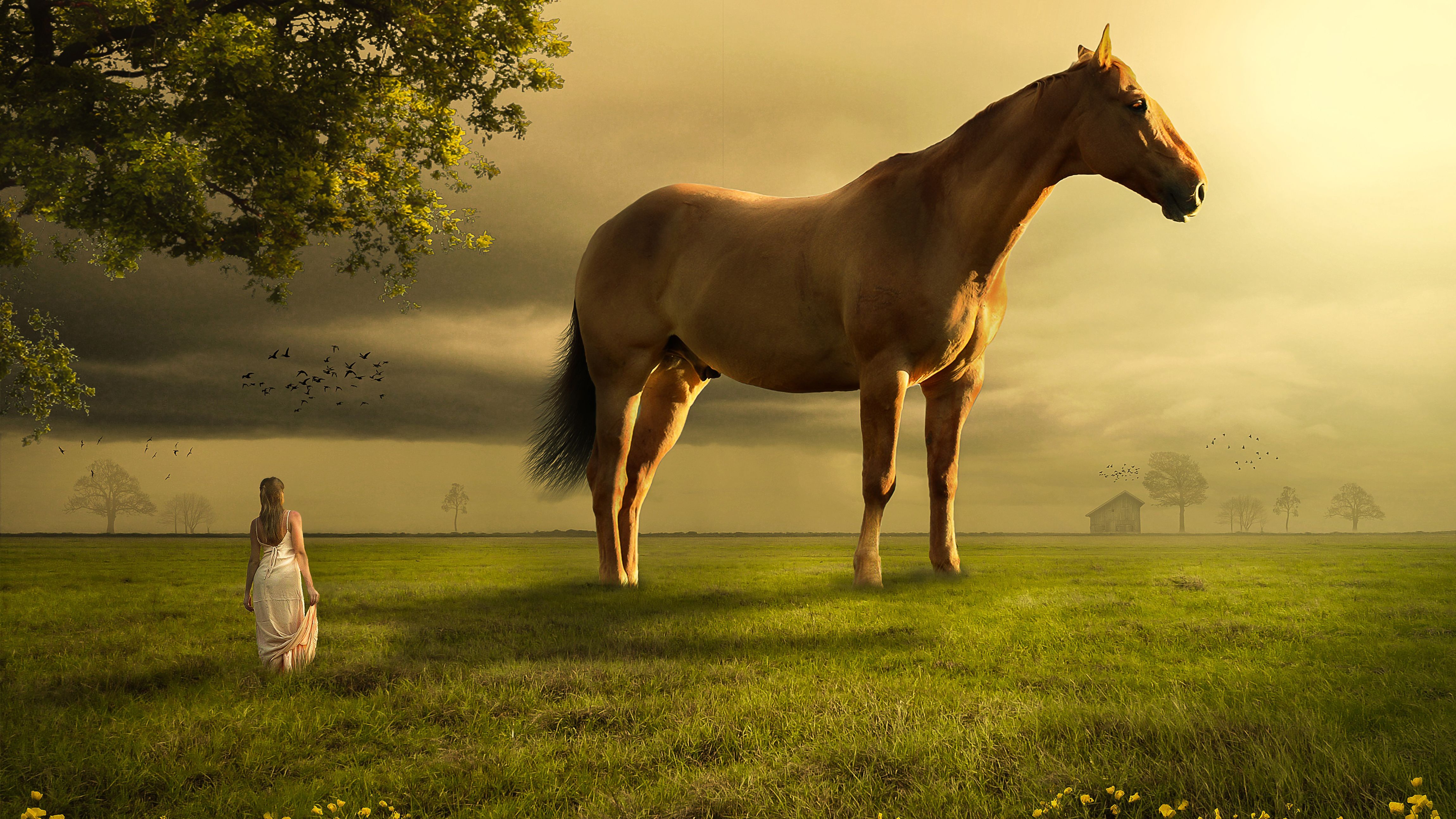 Girl Horse Landscape 4K Cheval Rver Reve