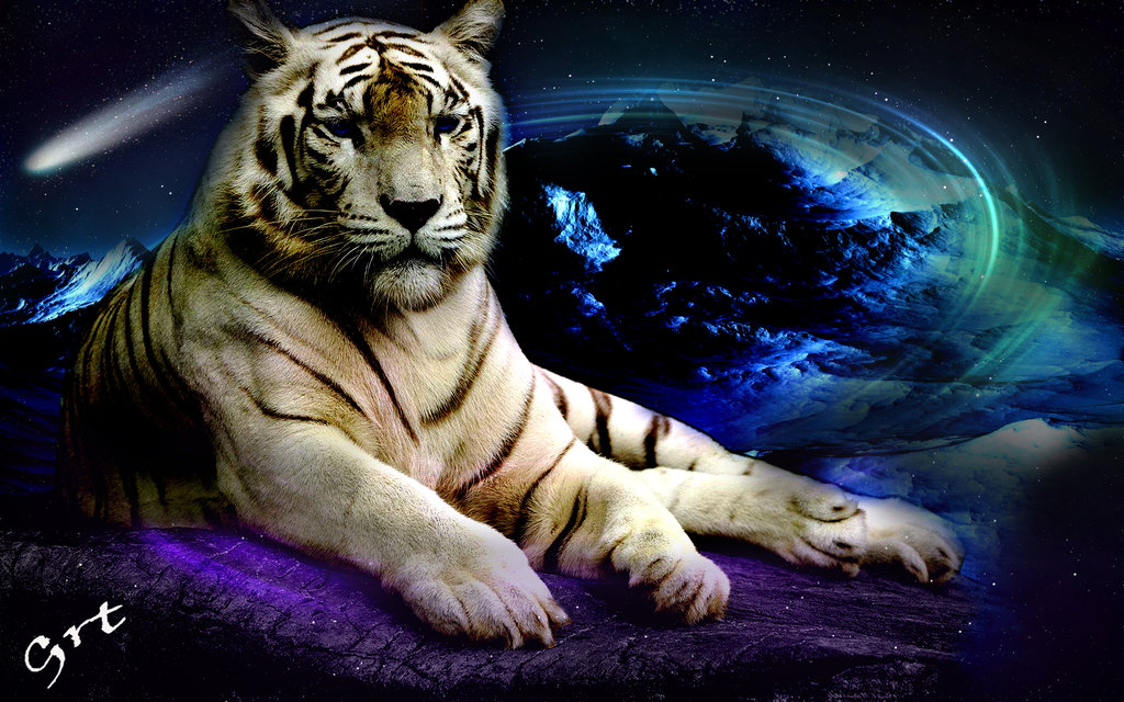 White Tiger Abstract Sapce By Grt Grt101